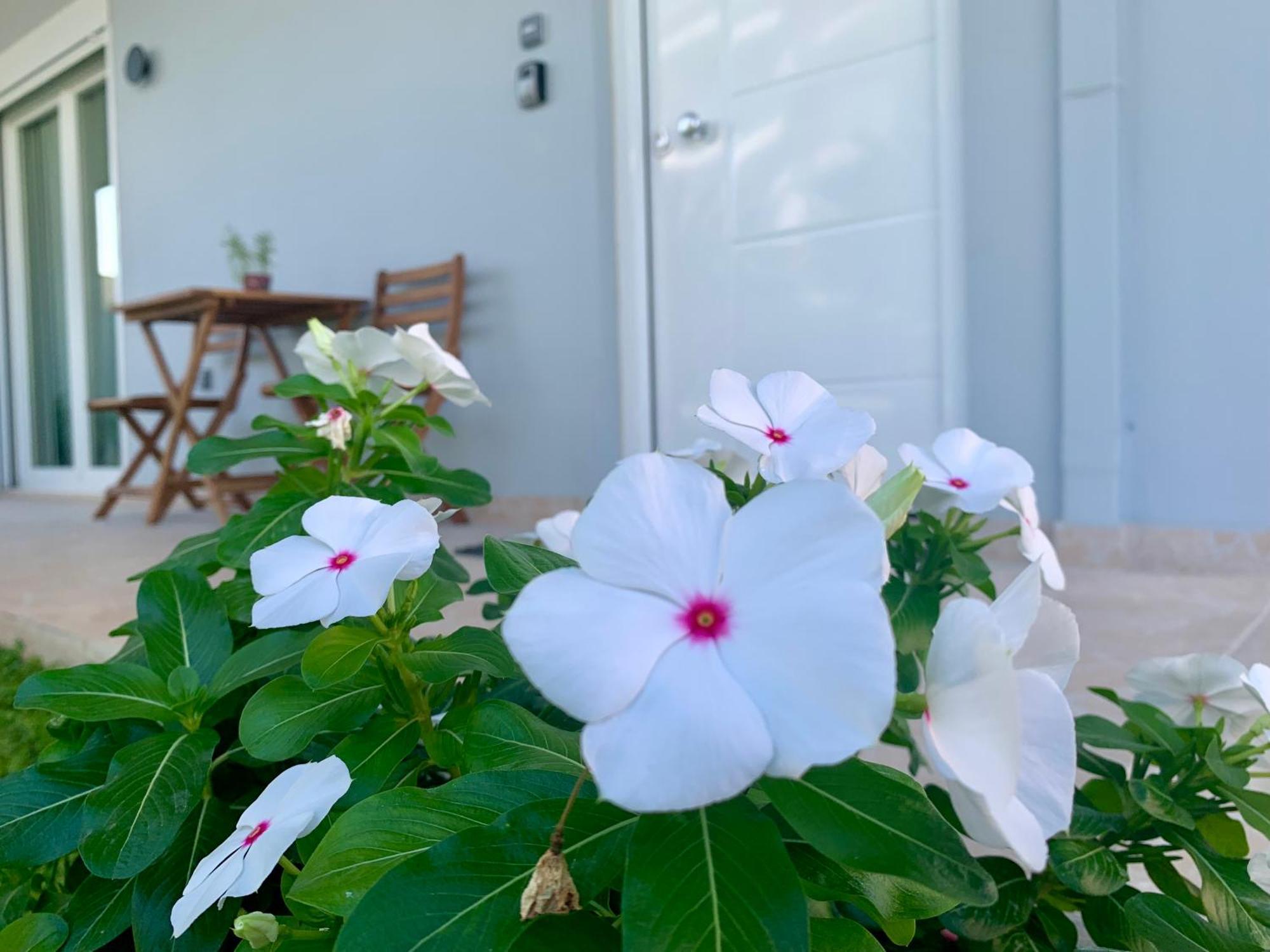 شقة Modern Mint Sunny House Near The Airport Spáta المظهر الخارجي الصورة
